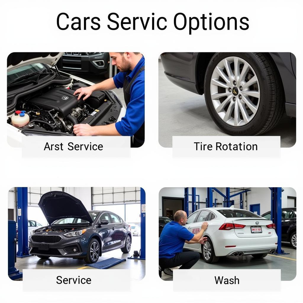 Toms River Car Service Options