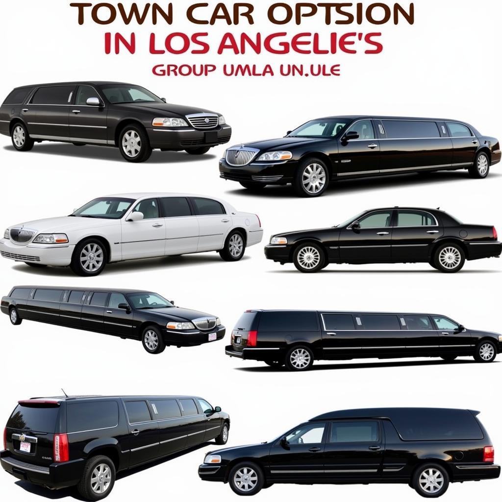 Diverse Fleet Options for Town Car Services in LA