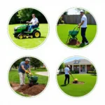 Different Types of Lawn Care Services Offered