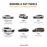 Alcat Phils Car Fleet Options