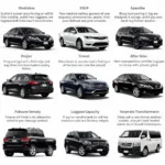 Amsterdam Corporate Car Service Selection