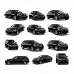 Diverse Fleet of Vehicles for Atlanta Car Service