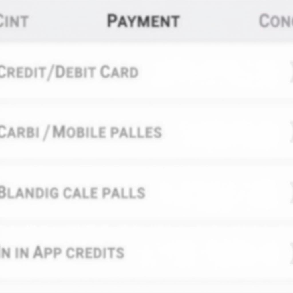 Atlantic Car Service App Payment Options