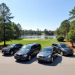 Augusta Georgia Car Service Options