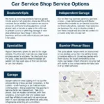 Barrhaven Car Service Options