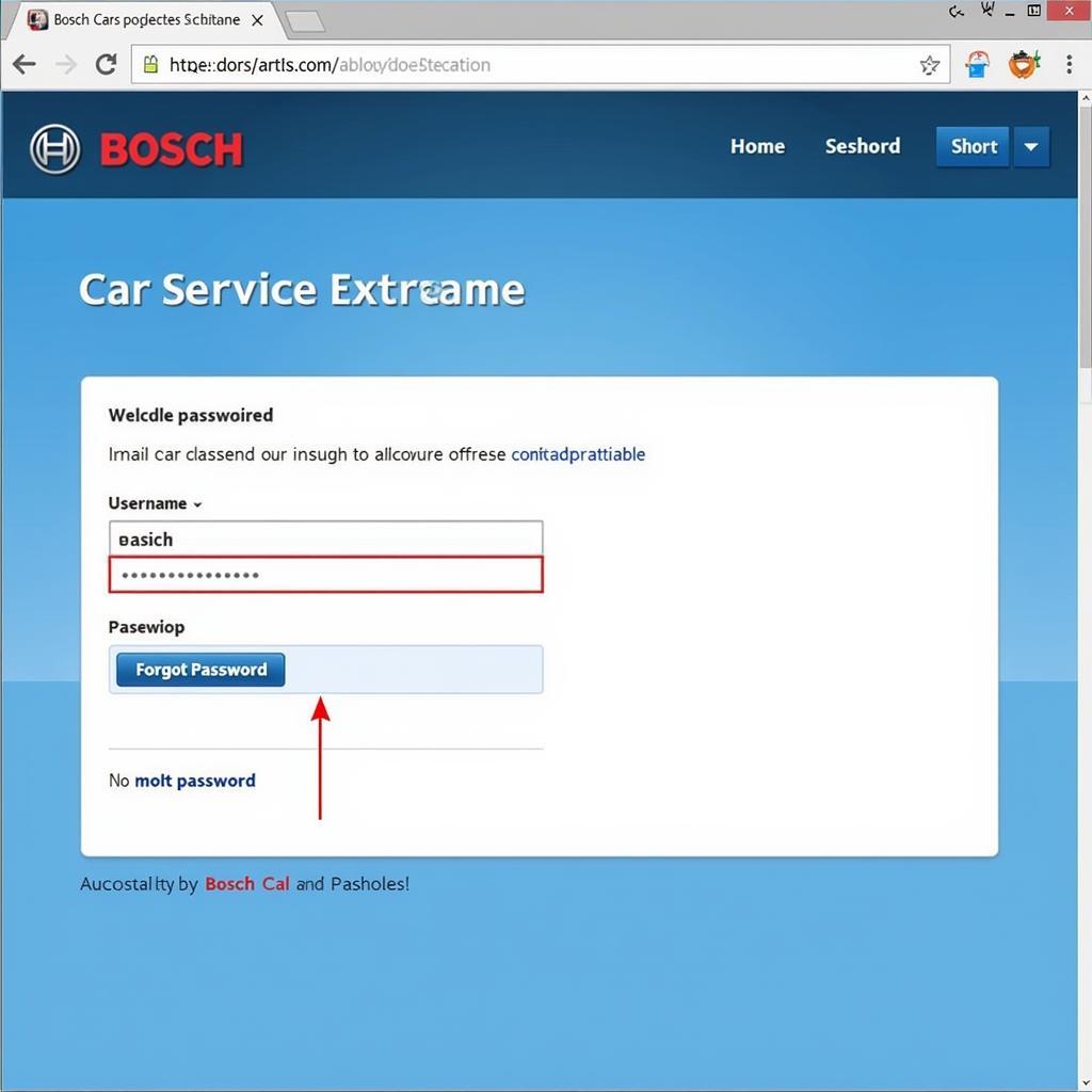 Bosch Car Service Extranet Login Screen