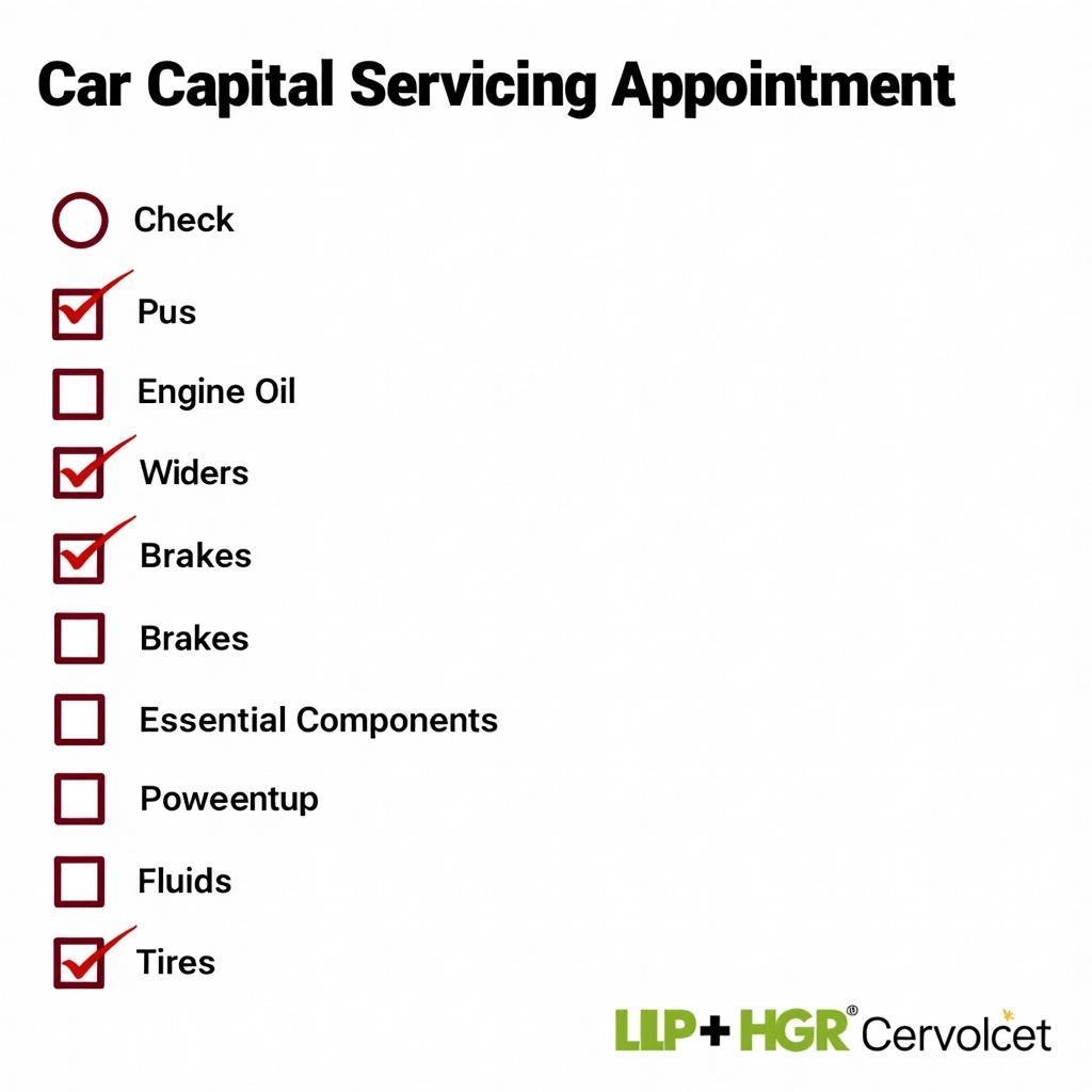 Comprehensive Car Capital Servicing Checklist