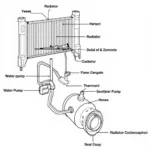 Car Cooling System Diagram - Mississauga