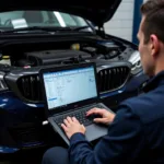 Computerized Car Diagnostic Software