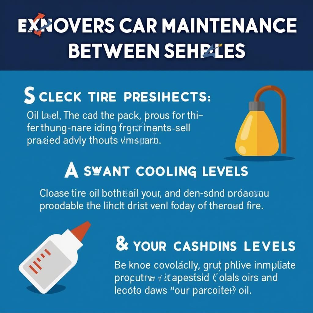 Car Maintenance Between Services