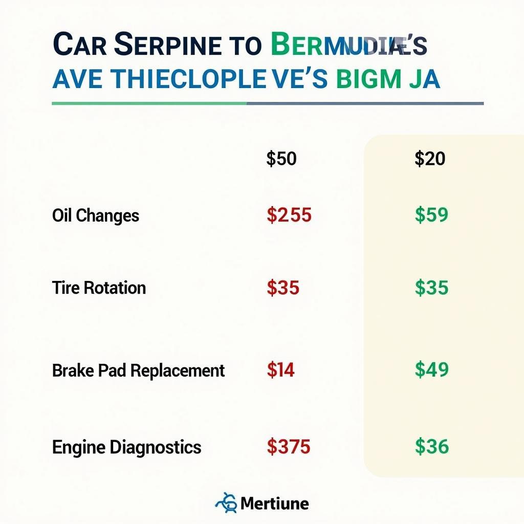 Cost of Car Service in Bermuda