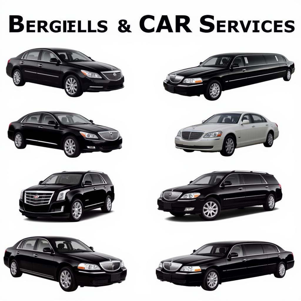 Diverse Fleet of Car Services in Bergen County