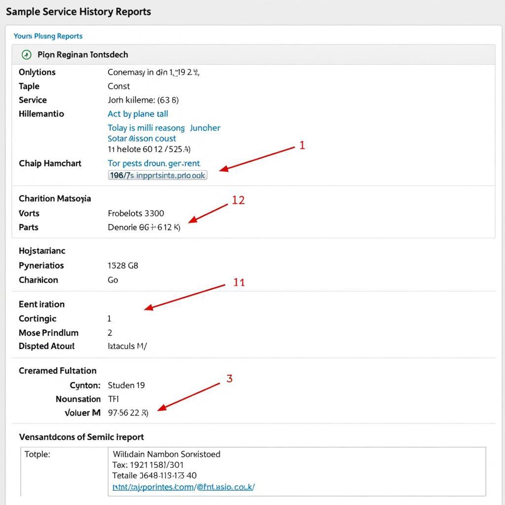 Example of a Car Service History Report