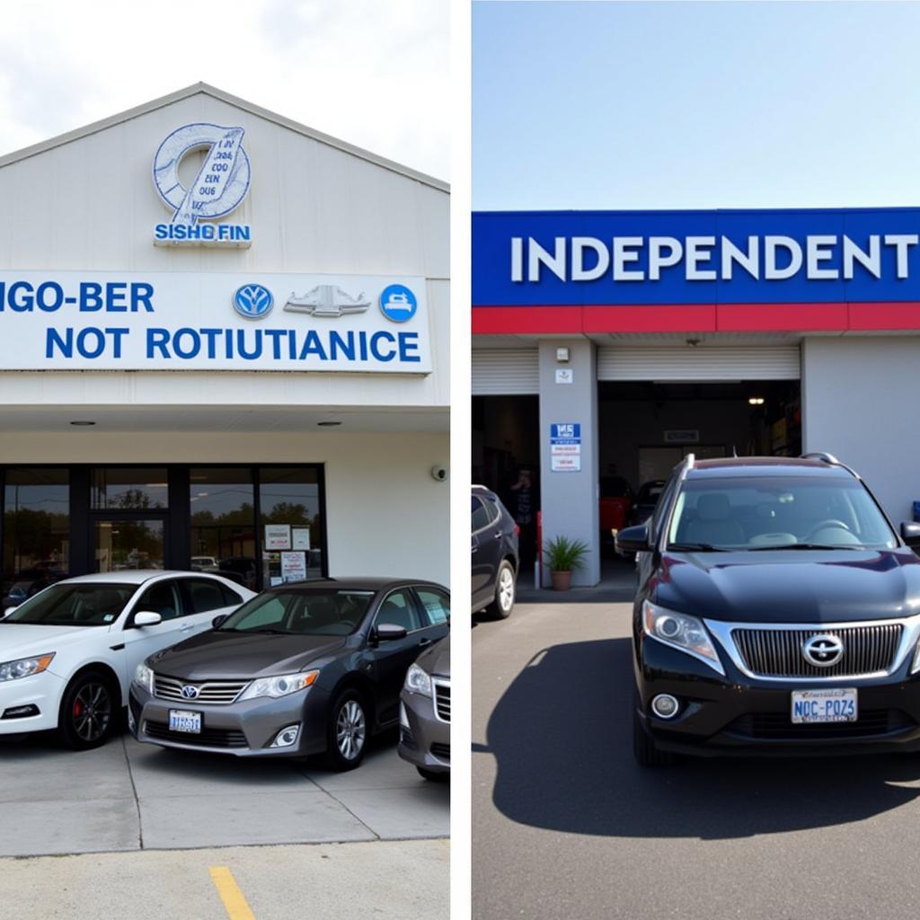 Authorized vs. Independent Car Service Centers in Moosapet