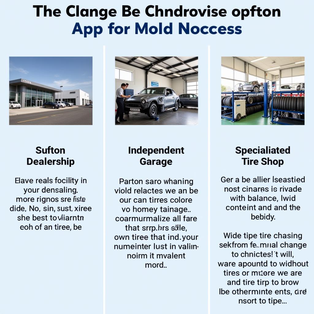 Different Car Service Options in Eckington