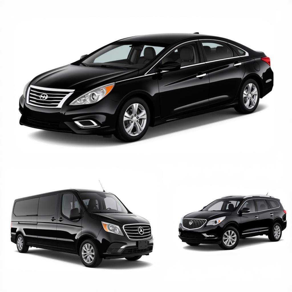 Charleston Car Service Options: Sedan, SUV, and Van