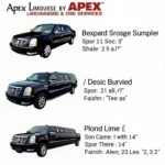 Choosing the Right Apex Limousine for Your Needs