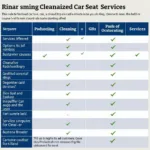 Comparison of Different Car Seat Cleaning Services