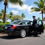 Car service waiting at Honolulu Airport arrival area