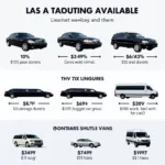 Various car service options available at Las Vegas Airport