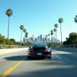 Los Angeles Airport Transfer Car Service