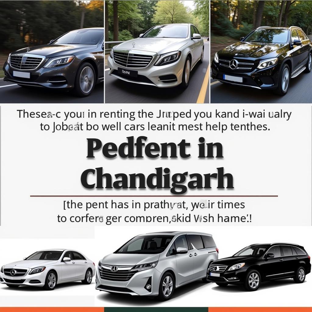 Luxury car rental options in Chandigarh