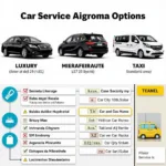 Malpensa Airport Car Service Options