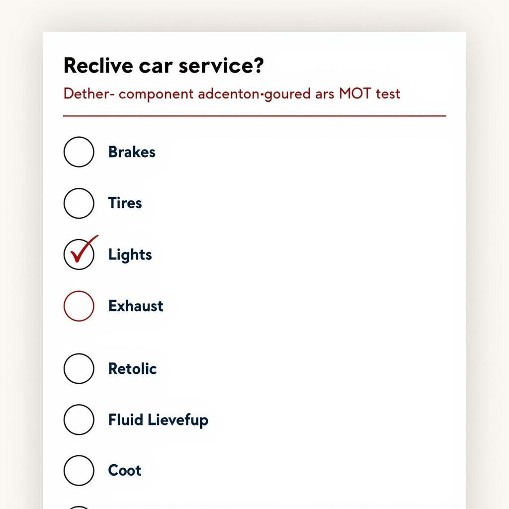 MOT and Service Checklist