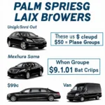 Palm Springs to LAX Car Service Options