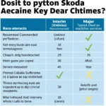 Skoda Service Types Comparison Table