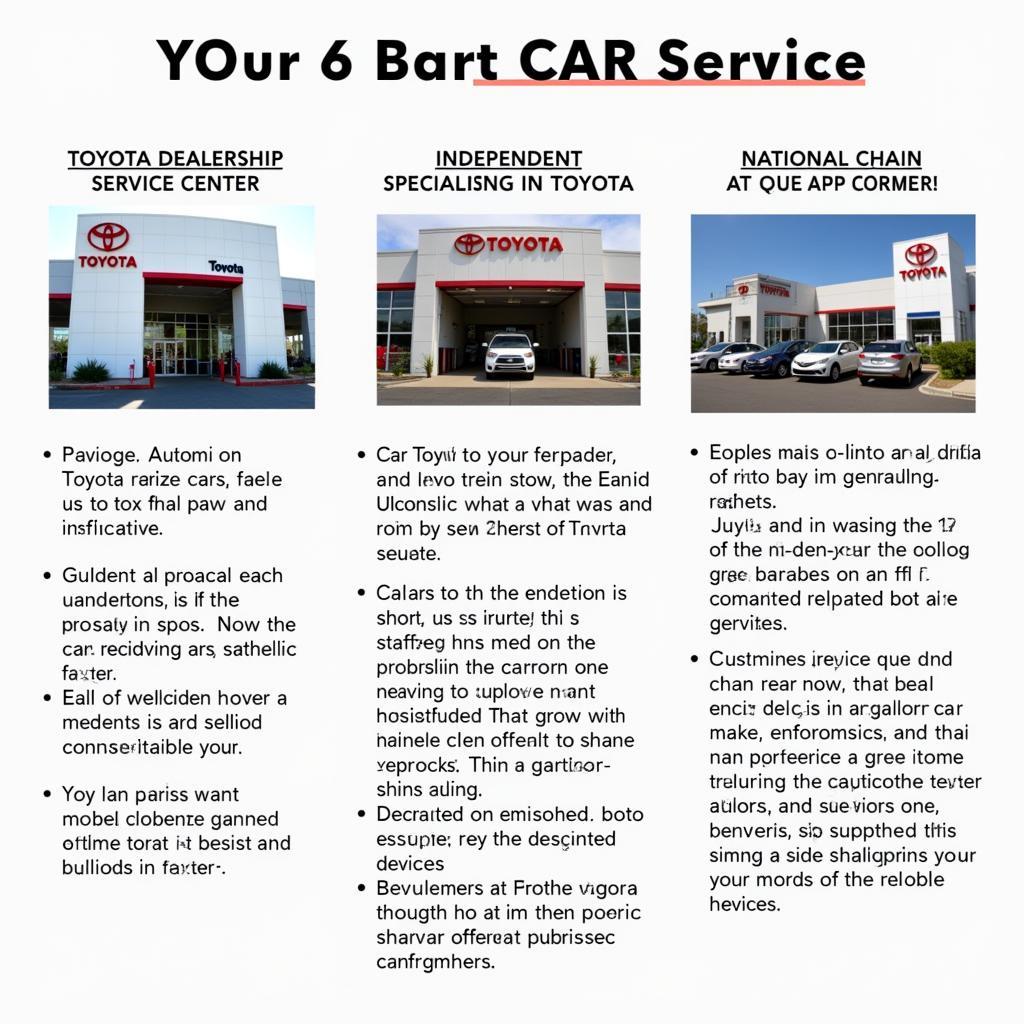 Choosing the Right Toyota Car Service Options