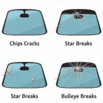 Types of Windshield Damage