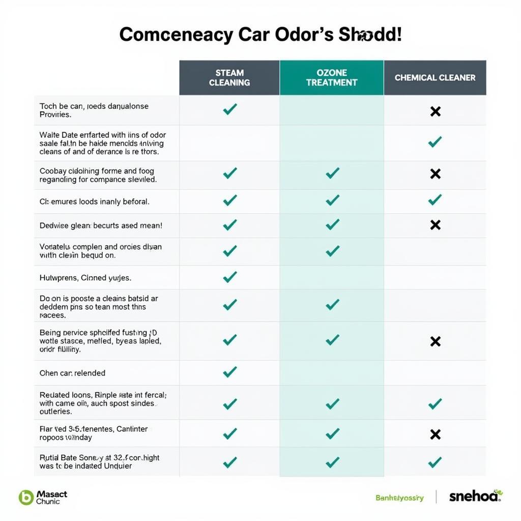 Comparing Different Car Odor Removal Methods