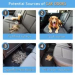 Identifying Common Car Odor Sources