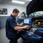 Certified Technician Working on a Car in Everton Hills