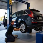 Car undergoing a Warrant of Fitness inspection in Grey Lynn