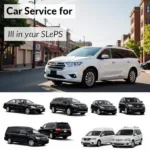 Car Service Options in Monsey