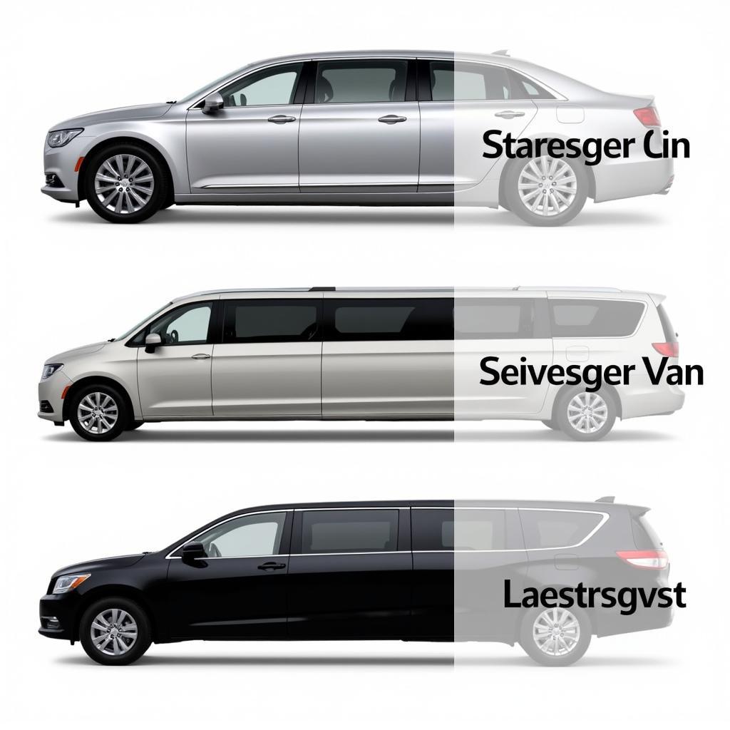 Various car service vehicle types available at the airport