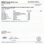 Fake Audi Service Record