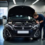 Routine Peugeot Car Service Maintenance