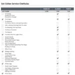 Seat Car Service Maintenance Schedule