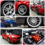 Specialized Car Services Examples