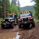 Off-Road Vehicle Recovery with a Winch