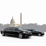 Washington DC Car Service Options